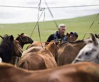 Chris Walker with horses