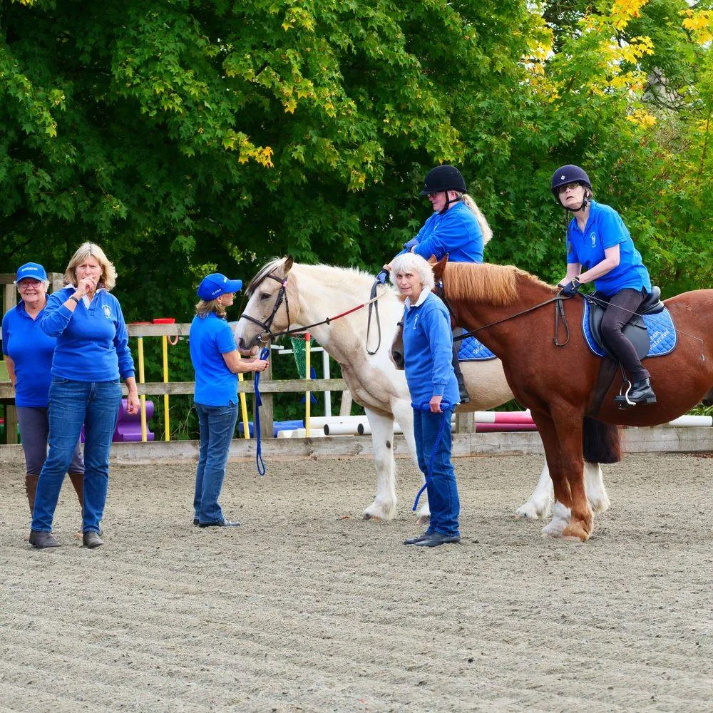 Everyone stood out in the arena