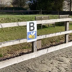 Fence with letter B and a bee on it