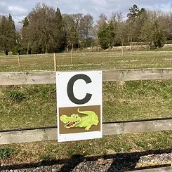 Fence with letter C and a crocodile on it