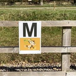 Fence with letter M on it with picture of a monkey