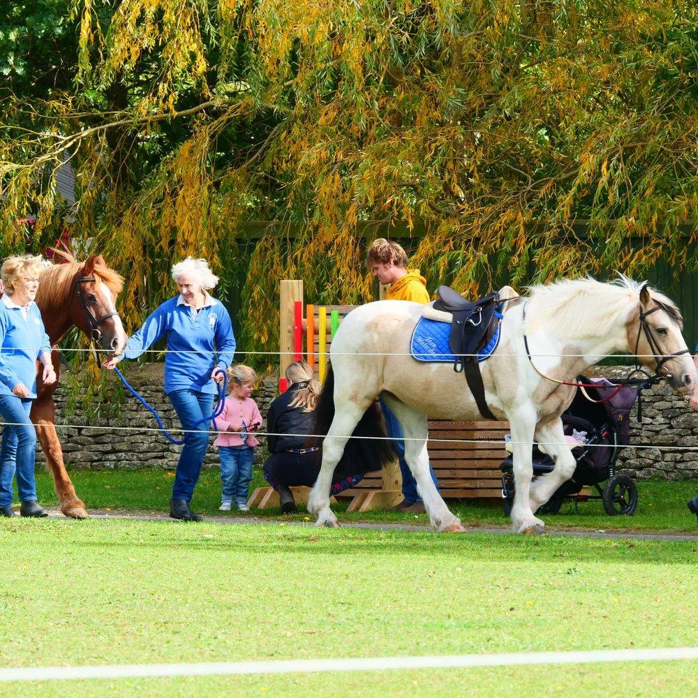 Horse walking by fence