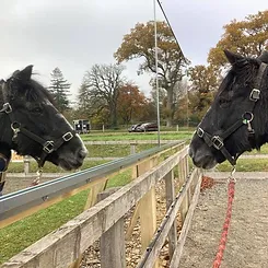 Mirrors in the arena with three riders infront of it