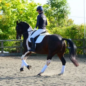 Rider in the arena