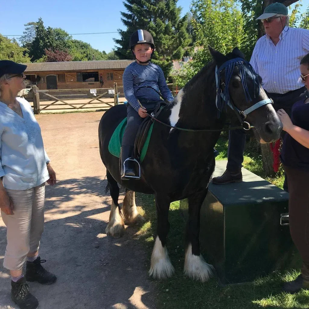 Rider sat on pony in the shade