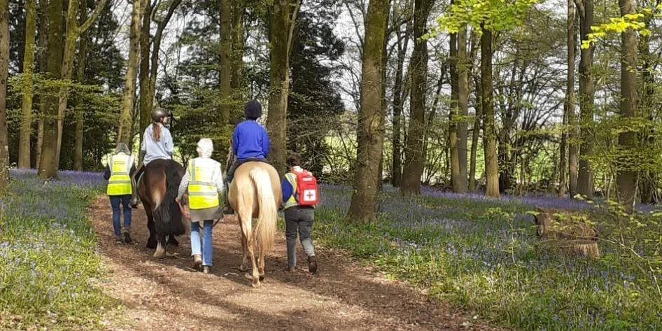 Riders going through the forest