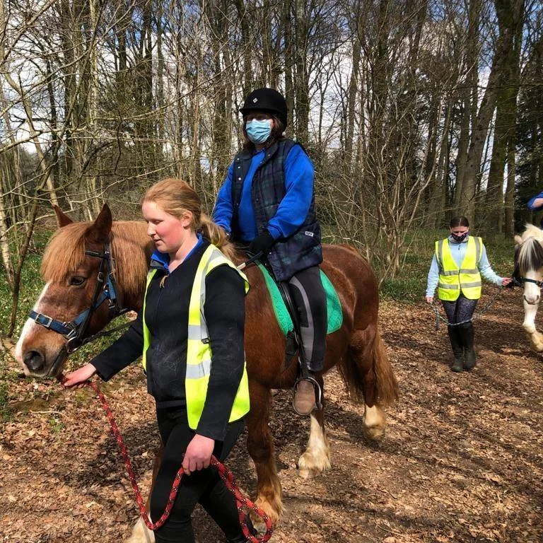 Riding through the forest